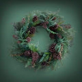 Blossom Flowers Decoration Wallpaper Newborn Baby Photography Background Backdrop Newborn Kids Baby Portrait Backdrop Photoshoot Photo Studio (Christmas Time Floral)