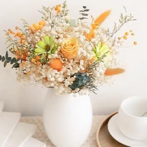 6000+ Dried Babys Breath Flowers Bulk - 17" Ivory White Dried Flower Bouquet, Real Natural Gypsophila Branches for Vase Filler, Wedding, Table Centerpiece, Home Decor, DIY Wreath Floral, Crafts