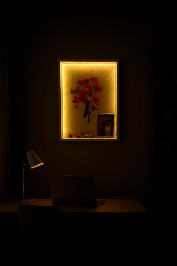 Dried Flowers Shadow Box with LED Light Changeable Picture Display & Storage Frame Wall-mounted Artwork Display Frame (Red Plum)