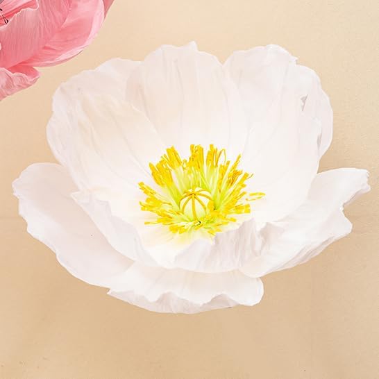 16"/12" 3 Pcs White Large Paper Flower Decoration for Party, Wedding Decoration, Background Wall, Nursery Room Decoration, Bridal Shower, Baby Shower (White,Set/3)