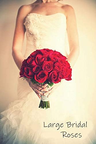 Laelfe 12 pcs Artificial Red Roses Flowers Long Stem Fake Silk Rose for Home Wendding Decorations(Red)