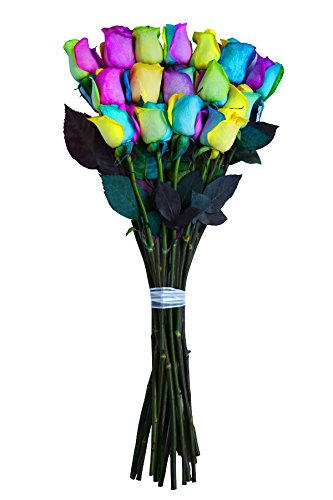 Fresh Rainbow Roses Bouquet - 12 Premium Stems by Flower Explosion