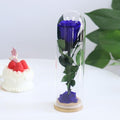 9.8 inches Preserved Rose in Glass Dome Rose with Green Leaves Eternal Love and Natural Beauty for Grandma Mom Girlfriend Classmate Friend Lover (Royal Blue)