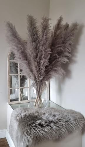 20 Stems Natural Pampas Grass Decor 40" Tall Dreid Pampas Grass for Wedding, Party, Farmhouse, Fluffy Dreid Flowers Boho Home Decor Grey & Beige