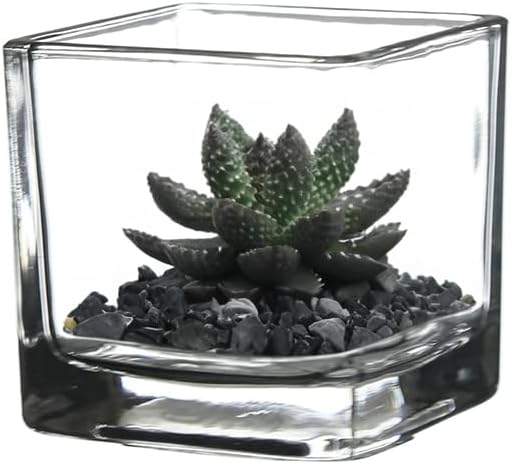 WGV 3 Inch Clear Square Cube Glass Votive Candle Holder Vase Bulk, Small Tiny Mercury Tea Light Terrarium Décor 3x3”, 6 Pieces