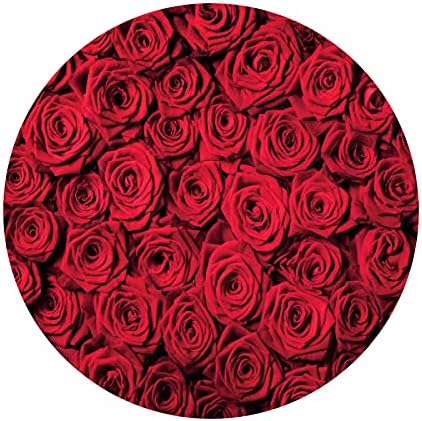 Renaiss 7x7ft Red Rose Round Backdrop Covers for Photoshoot Girls Women Portrait Crimson Flowers Flowerbed Photography Background Wedding Bridal Baby Shower Birthday Party Decor Photo Booth Prop