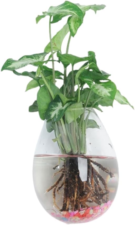 Wall-Mounted Acrylic Planter for Hydroponic Plants – Dinosaur Egg Vase, Modern Transparent Design for Home & Office Decoration