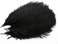 Piokio 20 pcs Natural Black Ostrich Feathers Plumes 12-14 inch(30-35 cm) Bulk for and DIY Clothes Decoration, Gatsby Decorations, Wedding Party Centerpieces