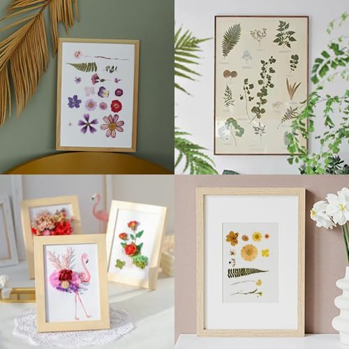 222 PCS Real Pressed Dried Flowers and Leaves with Butterfly Stickers & Tweezers – Natural Dried Flowers for Resin, Candle, Jewelry, Scrapbooking & DIY Crafts (Colour 222)