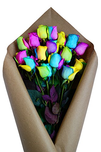 Fresh Rainbow Roses Bouquet - 12 Premium Stems by Flower Explosion