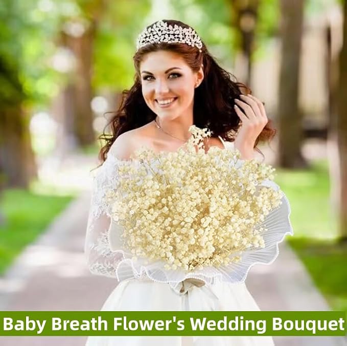 5000+ Dried Babys Breath Flowers Bulk - 17" Ivory White Dried Flower Bouquet, Real Natural Gypsophila Branches for Vase Filler, Wedding, Table Centerpiece, Home Decor, DIY Wreath Floral, Crafts