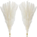 60 Pcs White Pampas Grass ,17 inch/45 cm Natural Dried Pampas Grass Branches Decor for Home Kitchen Garden Party Photographing Flower Arrangement Vase Decor（White