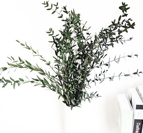 Dried Eucalyptus Leaves Preserved Greenery Stems, 8-14 PCS Eucalyptus Garland Branches, 4 OZ Green Leaves Plant Bundle for Wedding Wreath Party Home Decor Vase Filler