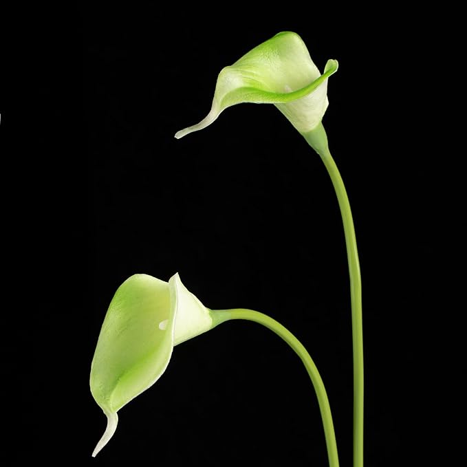 DuHouse 20Pcs Artificial Calla Lily Flower Real Touch Latex Flowers for DIY Wedding Bouquet Party Home Decor (Green)