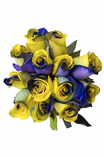 36 Stems - Fresh Cut Yellow & Purple Roses from Flower Explosion