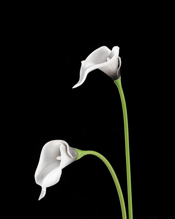 DuHouse 20Pcs Artificial Calla Lily Flower Real Touch Latex Flowers for DIY Wedding Bouquet Party Home Decor (Black White)