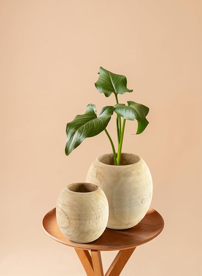 Serene Spaces Living Teak Essence Vase - Handcrafted Natural Wood Vase, Perfect for Artificial, Dried, and Fresh Flowers, Unique Rustic Decor Piece for Home or Office, Gift Idea (Large -Pack of 6)