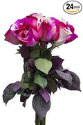 24 Stems - Fresh Cut "Cotton Candy" Tinted Roses from Flower Explosion