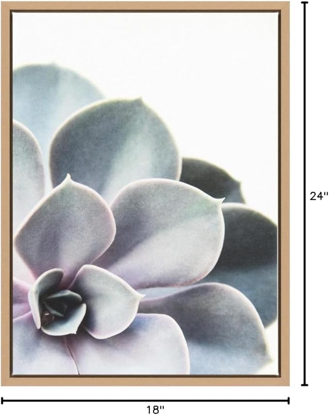 Kate and Laurel Sylvie Succulent Framed Canvas Wall Art by F2 Images, 18x24 Gold