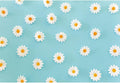Laeacco Daisy Flower Backdrop for Photography White Floral Blue Photo Background Baby Shower Birthday Party Decorations Cake Table Banner Girls Children Portrait Photoshoot Studio Props 5x4ft Vinyl
