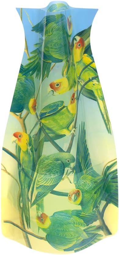 MODGY Expandable Flower Vase Plastic Decorative Modern Vases for Flowers Centerpieces Dining Table Decor Living Room Bathroom Wedding Office, Audubon Parakeets