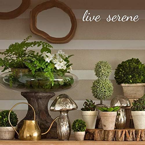 Serene Spaces Living 9” Antique Silver Glass Coupe Vase – Handmade, Vintage-Inspired Silver Vase Adds Elegance to Any Space, Use for Home Décor, Event Centerpieces and Much More, (Pack of 1)