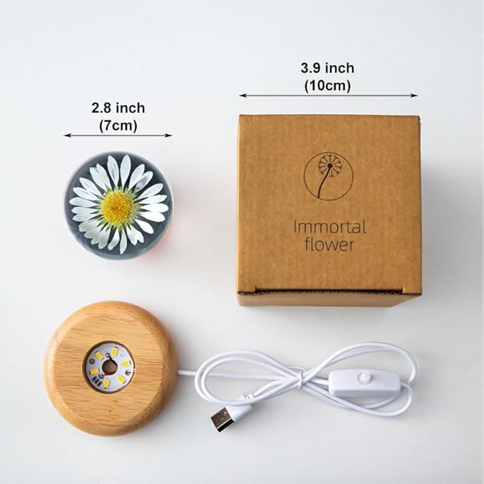 Flower Crystal Ball Night Light,2.75 inch Glass Ball Night Lamp with Woodern Base (Leucanthemum)