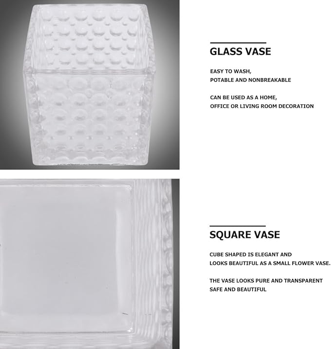 Angoily Transparent Square Glass Flowerpot Cube Shape Hydroponic Vase for Home Office Decoration Elegant Small Planter Pot Pure Material Easy to Clean