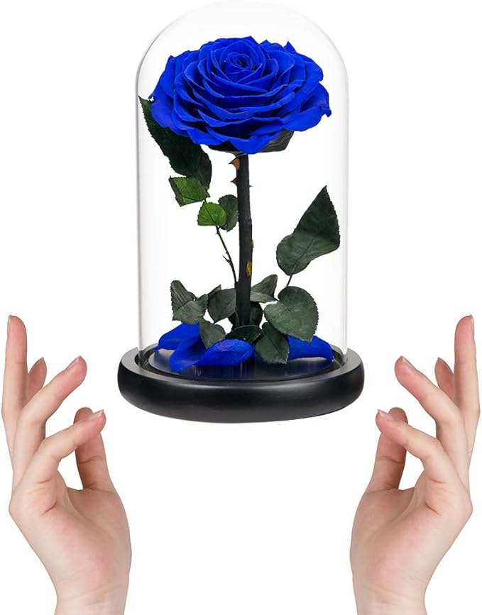 Preserved Roses Handmade Rose in Glass Dome, Preserved Flowers Never Withered Romantic Gifts for Her, Mother's Day, Birthday Gifts for Women (9 inch, Blue)