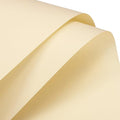 MECCANIXITY Pearlescent Film Flower Wrapping Paper 22.8x22.8 Inch Waterproof for DIY Crafts, Gift/Gift Box Packaging Cream Color Pack of 10