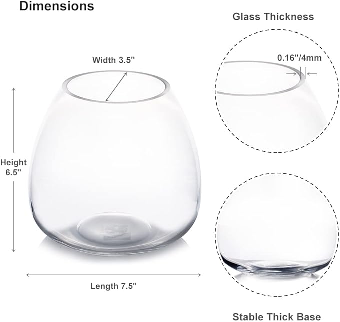 Enova Floral Clear Dome Shaped Terrarium Bowl Glass Vase, H 6.50" W 3.5" L7.5 Clear Round Fish Bowl Flower Vase for Desktop Decor (1 Piece)