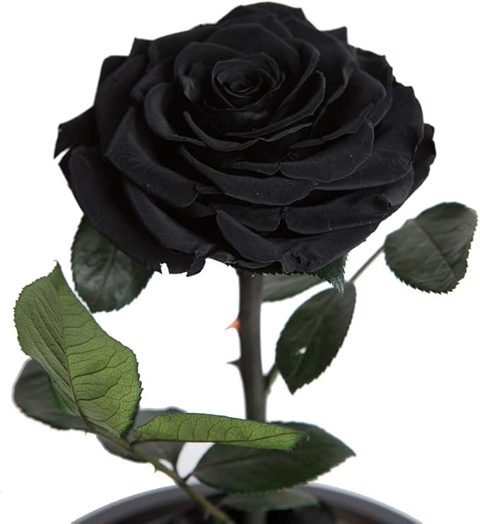 Preserved Roses Black Roses Handmade Real Rose in Glass Dome, Preserved Roses Never Withered Romantic Gifts for Her, Mother's Day, Birthday Gifts for Women (9 inch, Black)