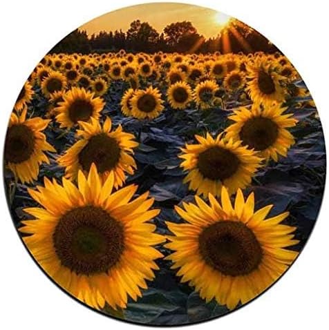 Sunflower Round Coaster Set - Made of Recycled Rubber - Set of 4