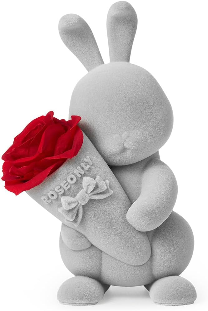 roseonly. Preserved Rose with Sweet Bunny, Eternal Flowers Gifts for Women Girlfriend Wife Mothers Real Roses for Valentine's Day Christmas Birthday Mother's Day Anniversary (Mini)
