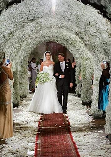 Bringsine Baby Breath Gypsophila White Fake Artificial Flowers for Arrangements DIY, Wedding Bridal Bouquets, Centerpieces Party Home Decorations- 20PC
