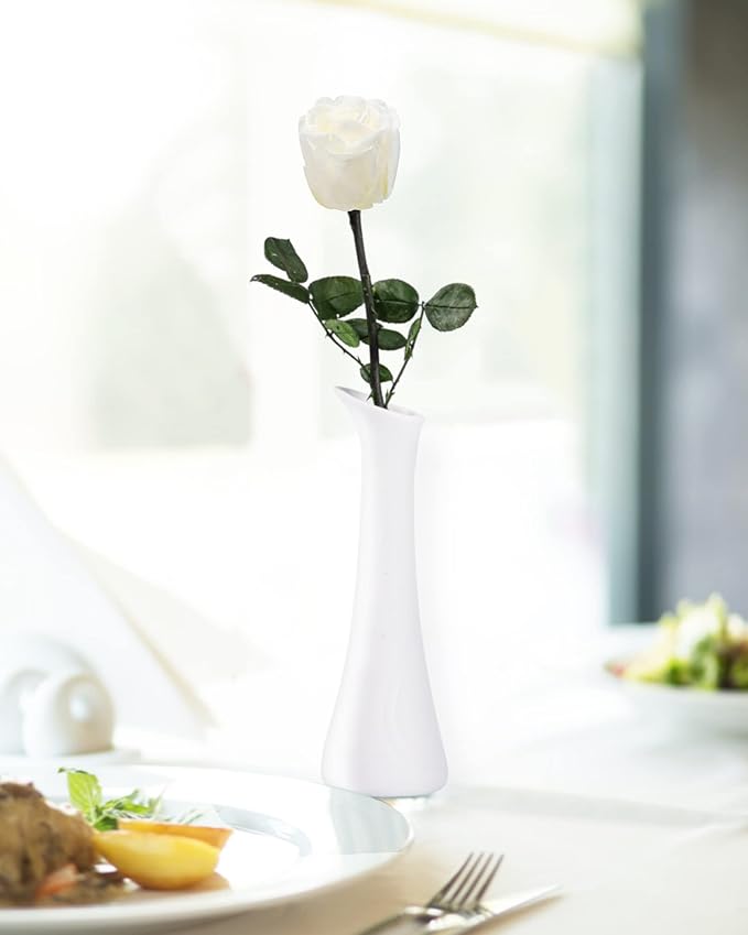 White Flowers for Delivery Prime, Preserved White Roses Flower Gifts for Women, Real Roses Single Rose Gifts for Her, Mom Birthday Gifts from Daughter, Valentines Flowers