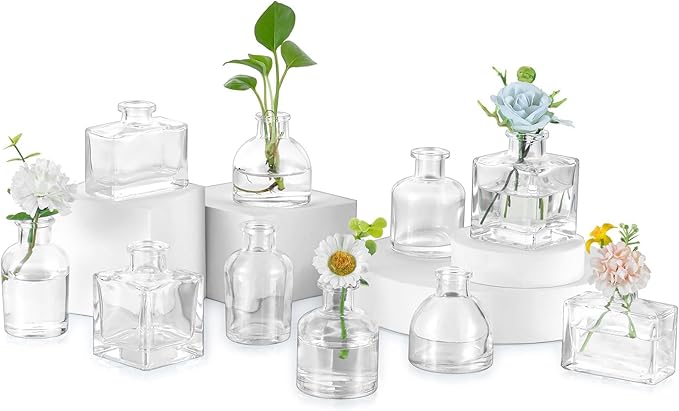 Glasseam Mini Glass Bud Vases: Small Clear Vases for Centerpieces Cute Tiny Flower Vase Set of 10 for Flowers Modern Centerpiece Decor for Wedding Party Dining Room Decoration