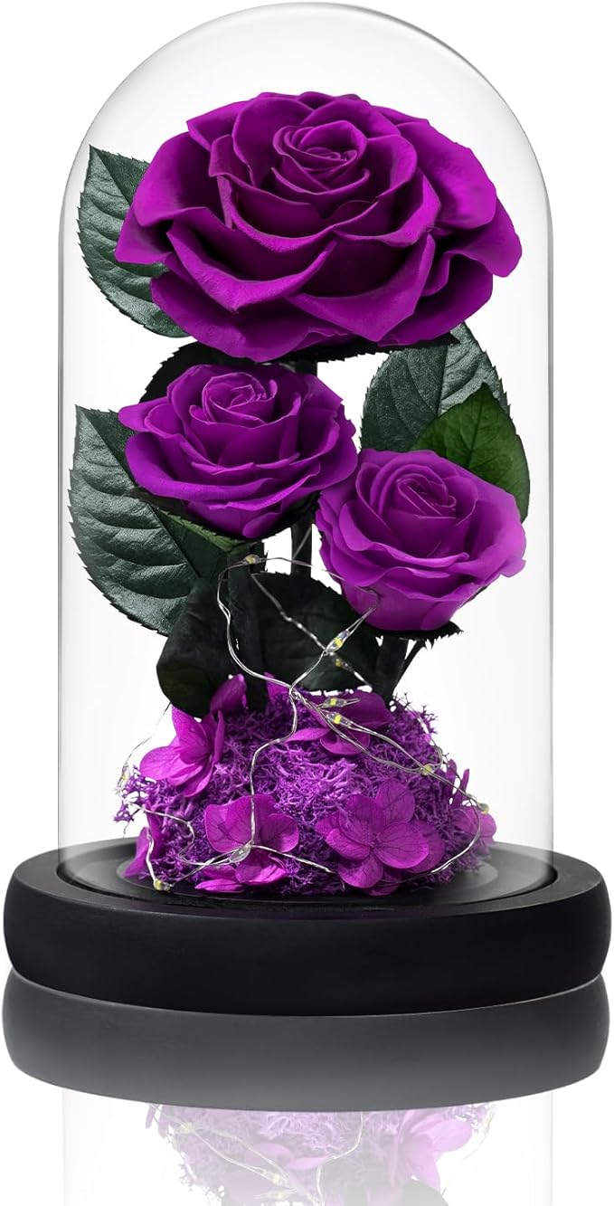 3 Preserved Flowers Roses in Glass Dome with Light for Beauty and The Beast Decor Real Rosas Eternas for Women Mom Birthday,Forever Purple Roses for Delivery, for Wife Girlfriend Her