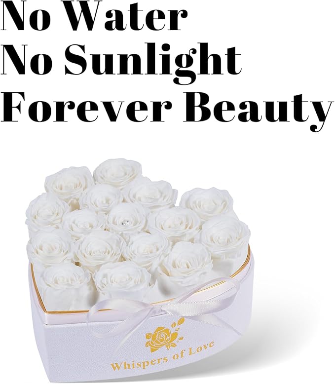 Luxury Preserved Roses – Forever Real Roses Flowers for Delivery in a White Box, Preserved Flowers Birthday Gifts for Women Mom Wife, Ideal for Anniversary (White 16 Roses, 16 Roses)