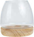 FAVOMOTO Hydroponic Flower Vase with Wooden Base Transparent Glass Micro Landscape Bottle for Desktop Decoration Premium Glass and Wood Material for Home Office Study Plant Display