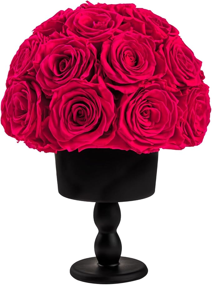 Eternal Rose Dome with Vintage Pedestal, 23 Forever Preserved Roses Arrangement for Home Decoration, Ideal Gift for Christmas,Valentine's Day, Mother's Day, Birthdays-Hot pink