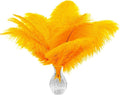 Piokio 20 pcs Natura Gold Ostrich Feathers 12-14 inch(30-35 cm) Bulk for Wedding Party Centerpieces and DIY Clothes Decoration, Gatsby Decorations