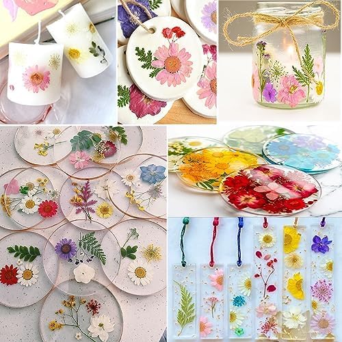 301Pcs Multi-Style Dried Pressed Flowers & Leaves (10 Packs) - Pressed Flower for Crafts, Resin, Nail Art, Candle, Soap, Scrapbooking & Frame Decor