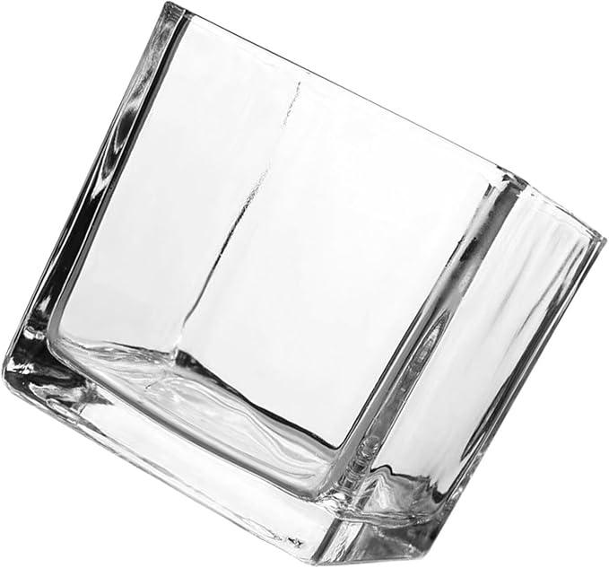 Healifty Clear Square Glass Vase Thick Transparent Cube Hydroponic Planter Modern Decorative Flower Container for Home Table Centerpiece