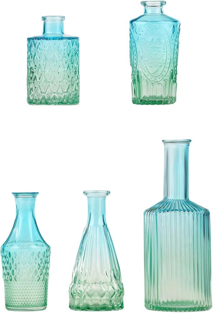 5Pieces Embossing Glass Vases Set Gradients Small Flower Buds Vases for Home Decors and Centerpieces Floral Arrangements