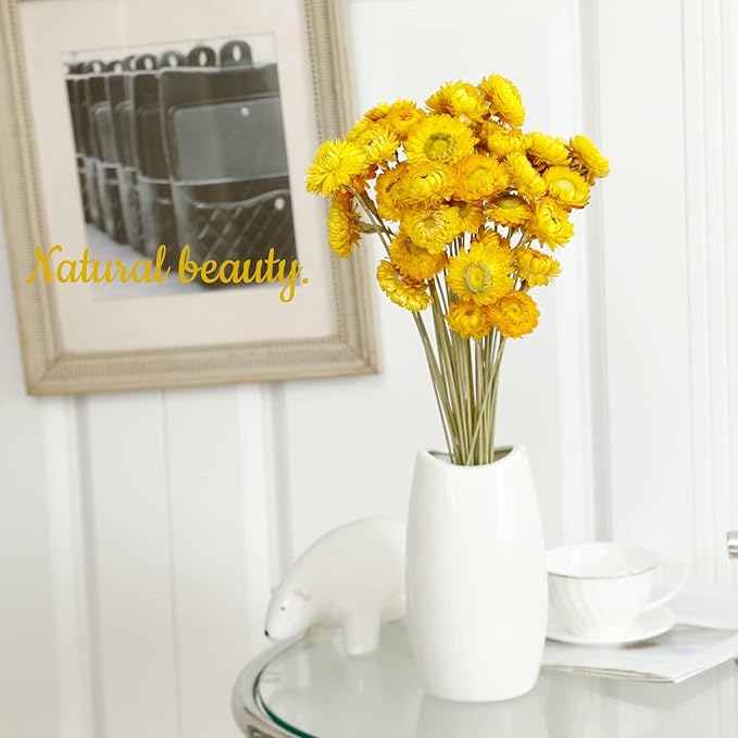 Dried Flower 40PCS Daisy Bouquet 100% Natural Chrysanthemum Dry Flower for Vase Home décor Party DIY Arrangement Wheat Straw Bulk（Yellow）