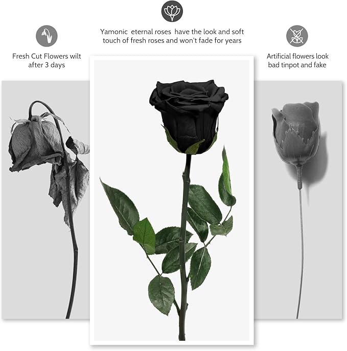 Yamonic Preserved Flowers Rose Gifts for Mom Grandma, Mom Birthday Gifts for Women, Mothers Day Real Flower Rose Gifts for Moms, Her, Wife, Girlfriend Gifts on Christmas,Valentine's Day, Anniversary