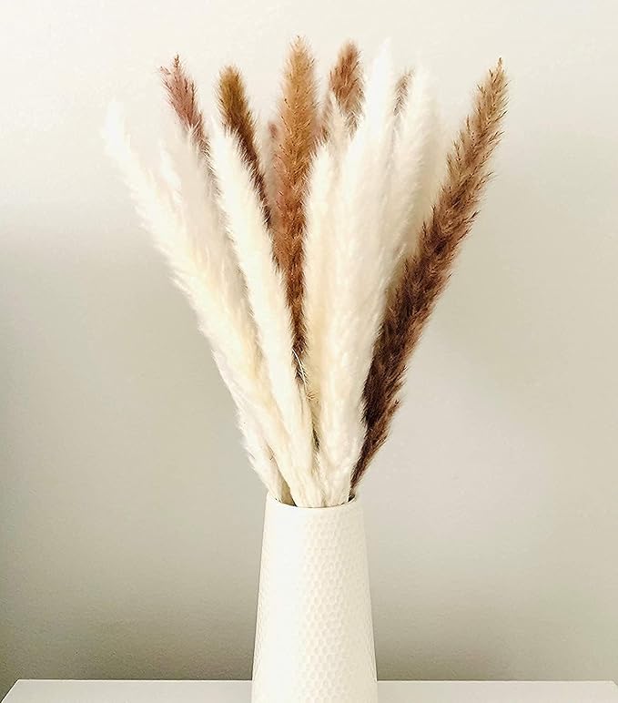 30 Pcs Pampas Grass ,17.7 inch/45cm Natural Dried Pampas Grass Branches Decor for Home Kitchen Garden Party Photographing Flower Arrangement Vase Decor (Natural)