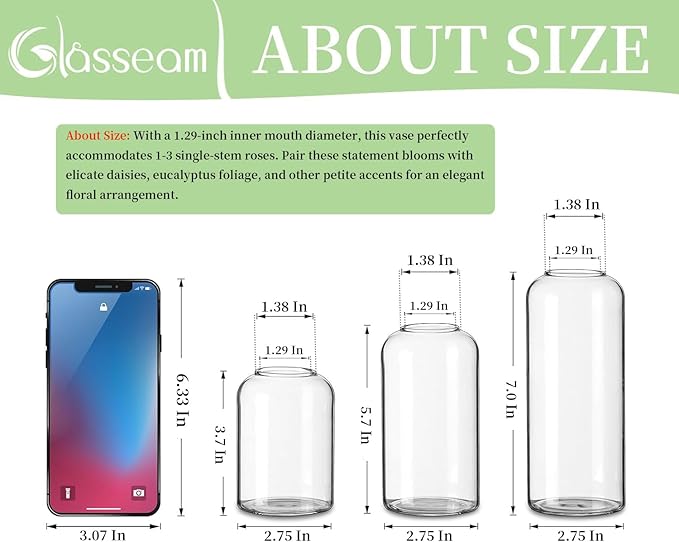 Glasseam Small Bud Vases for Flowers, Handmade Glass Vases for Centerpieces, Unique Flower Vase Set of 3, Cute Blown Clear Vases for Decor, Minimalist Centerpiece Table Wedding Decorations