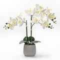 Artificial White Orchid Plant in Gray Ceramic Pot, Realistic Faux Flowers Indoor Decorative Display, 21-Inches Tall, Non-Allergenic, Maintenance-Free
